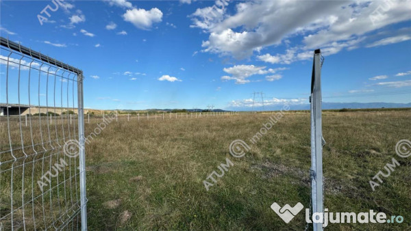 Teren 4200 mp situat in extravilanul zona Calea Surii Mici S