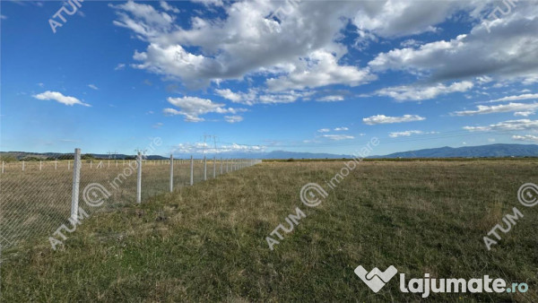 Teren 4200 mp situat in extravilanul zona Calea Surii Mici S
