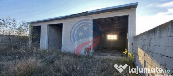 Hala Depozit si curte Malu Mare