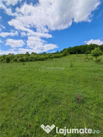 Teren 550 mp de in Tocile