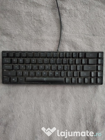 Tastatura gaming White Shark RONIN 