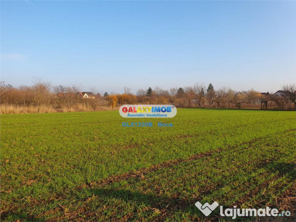 Teren intravilan Crevedia-Manastirea 