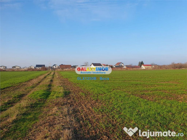 Teren intravilan Crevedia-Manastirea 