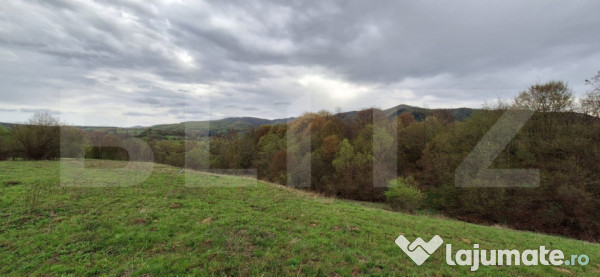 Oportunitate!!!! TEREN EXTRAVILAN CU SUPRAFATA DE 12500 MP 