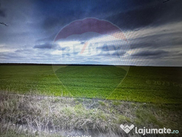 Teren extravilan Sarbatoarea Dolj aproape de Dj 552A 