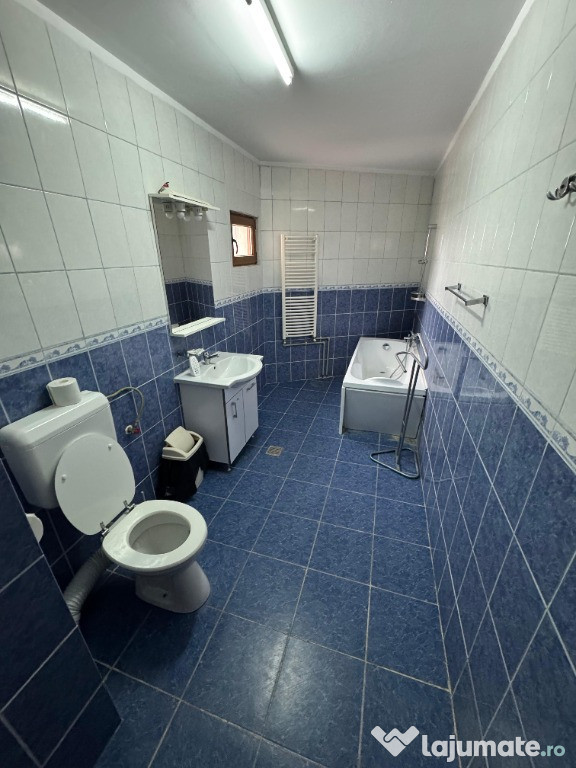 Cazare Echipe Muncitori – Motel Roxana, Roata de Jos 