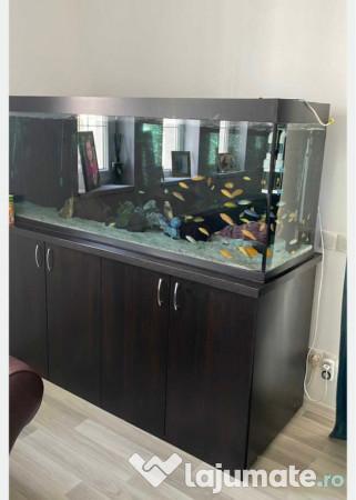 Acvariu 500L + Stand Metalic + Echipat complet 