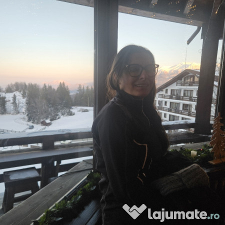 Pisicuta British originala