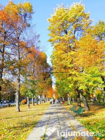 Serban Voda - Carol - Tineretului - 2 camere cu terasa