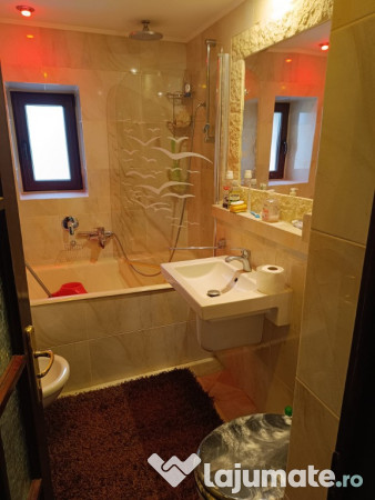 Apartament 3 camere C.R.Vivu 