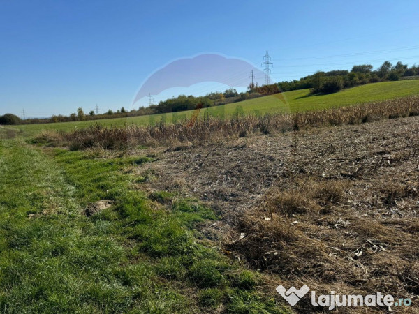 1.500 eur/ar - TEREN INTRAVILAN in Lapusel 