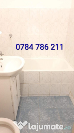 Garsoniera LACUL TEI - Domino