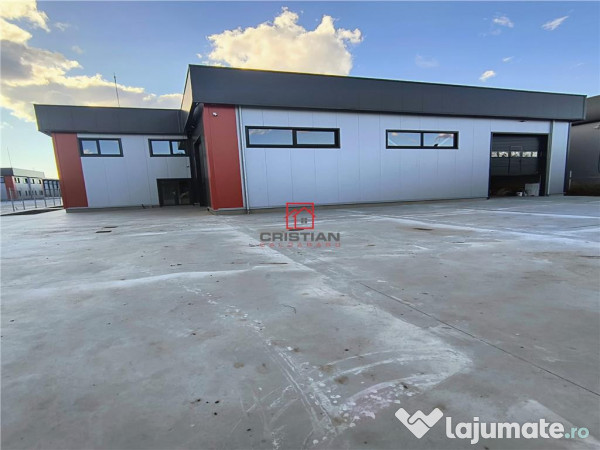 Depozit/hala/spatiu industrial Domnesti - Centura 
