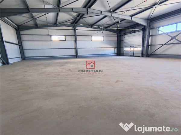 Depozit/hala/spatiu industrial Domnesti - Centura 