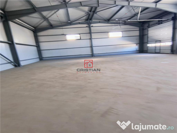 Depozit/hala/spatiu industrial Domnesti - Centura 