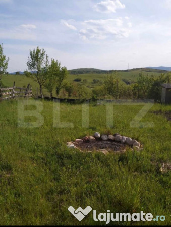 Teren extravilan de vanzare, Valea Budavului