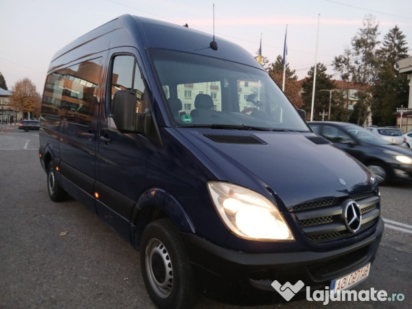 Mercedes-Benz Sprinter 2010 8+1 Locuri Recent Adus Impecabil 