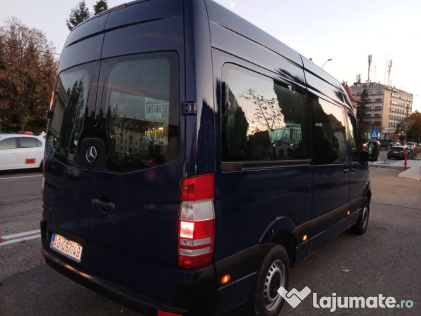 Mercedes-Benz Sprinter 2010 8+1 Locuri Recent Adus Impecabil 