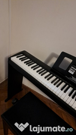 Roland fp10 keyboard with pedal and piano chair 