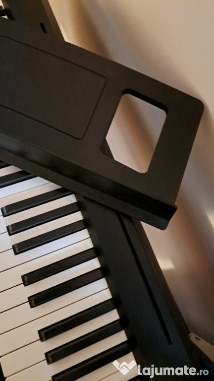 Roland fp10 keyboard with pedal and piano chair 