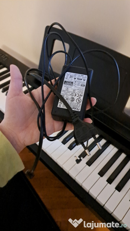 Roland fp10 keyboard with pedal and piano chair 