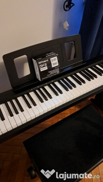 Roland fp10 keyboard with pedal and piano chair 