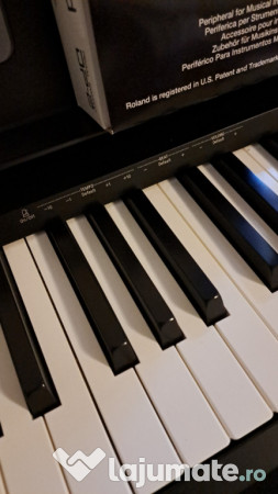 Roland fp10 keyboard with pedal and piano chair 