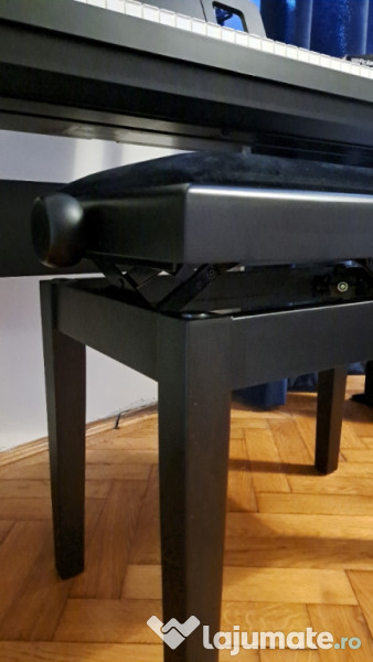 Roland fp10 keyboard with pedal and piano chair 