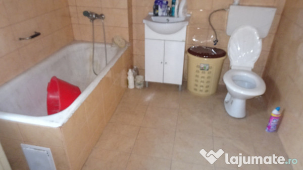 Casa curte si gradina in Branisca (la 15 Km de Deva)