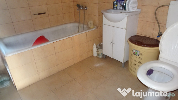 Casa curte si gradina in Branisca (la 15 Km de Deva)