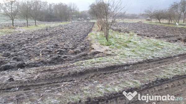 Casa curte si gradina in Branisca (la 15 Km de Deva)