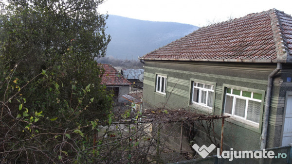 Casa curte si gradina in Branisca (la 15 Km de Deva)