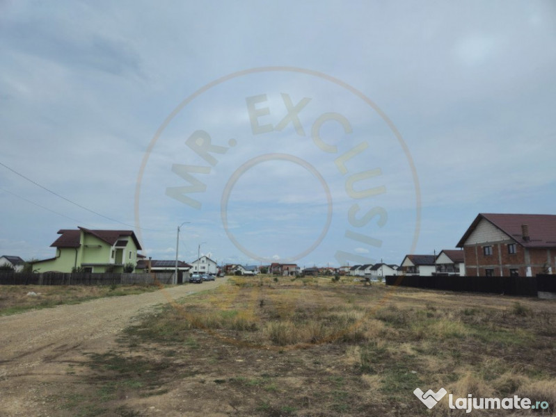 Comision 0% - Teren 10.000 mp - Str. Octavian Goga, Craiovei