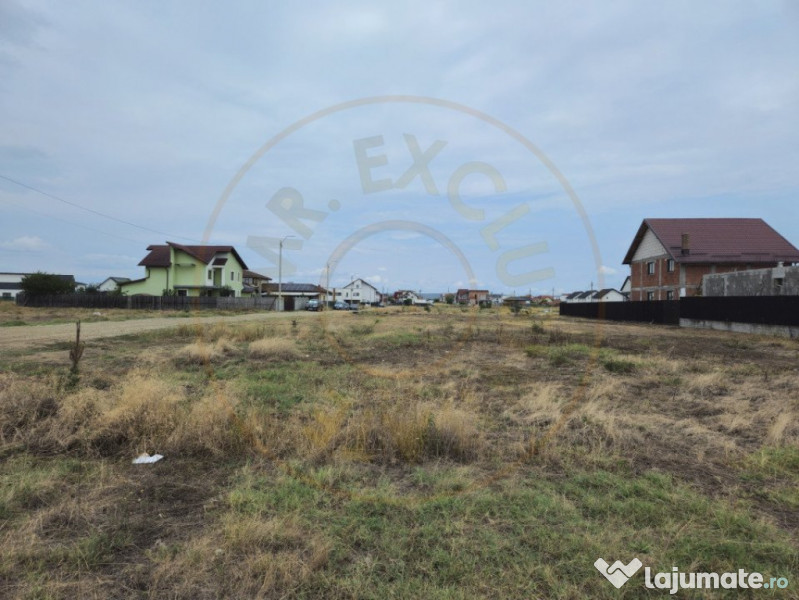 Comision 0% - Teren 10.000 mp - Str. Octavian Goga, Craiovei