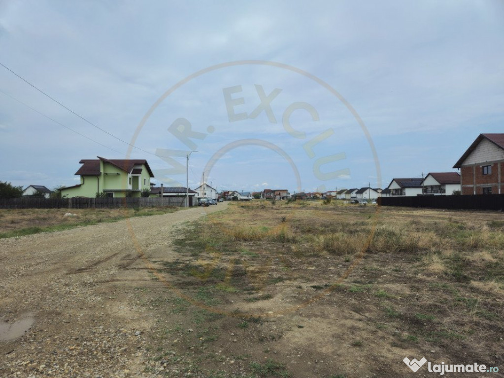 Comision 0% - Teren 10.000 mp - Str. Octavian Goga, Craiovei