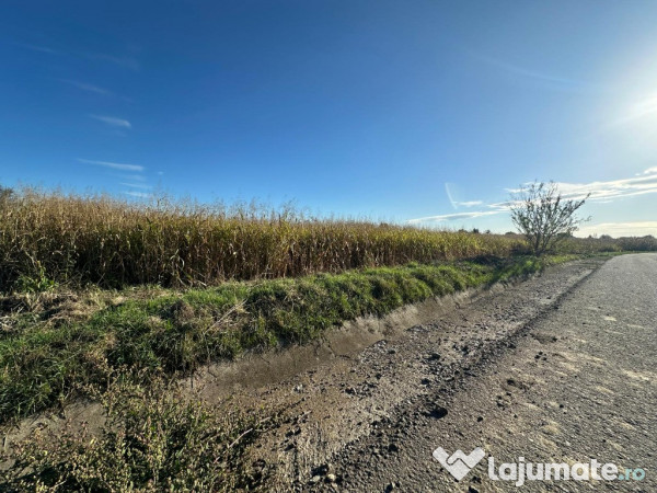 C/1508 De vânzare teren în Mureș - Sântana de Mureș