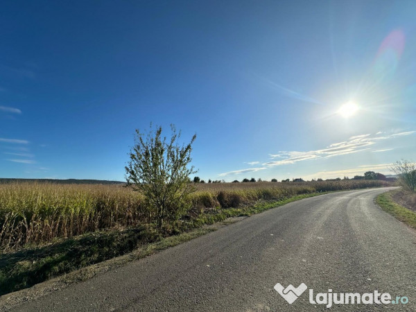 C/1508 De vânzare teren în Mureș - Sântana de Mureș