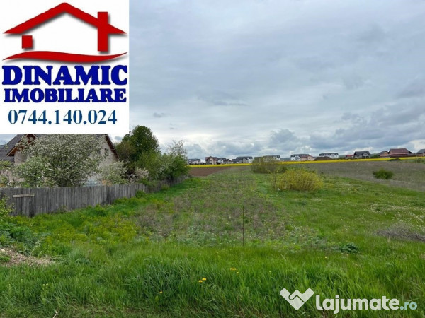 Teren 5000 mp zona Fermelor, str. Plantelor