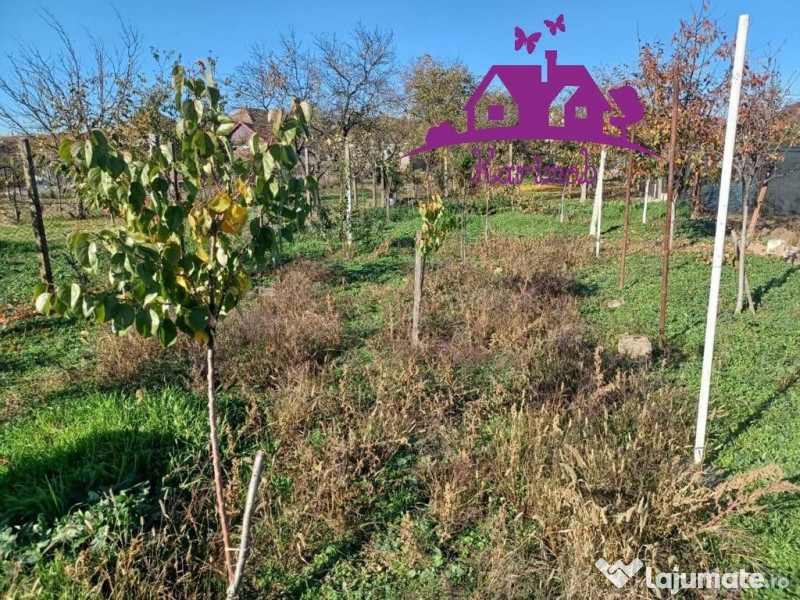 Casa la curte comuna in localitatea Nojorid 