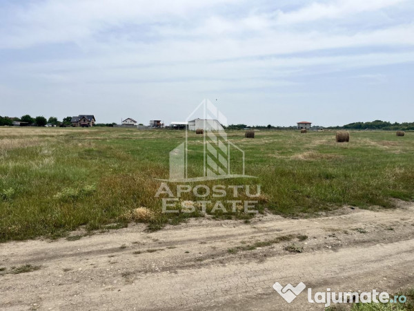 Teren intravilan pentru hala 1518 Remetea Mare in apropie...