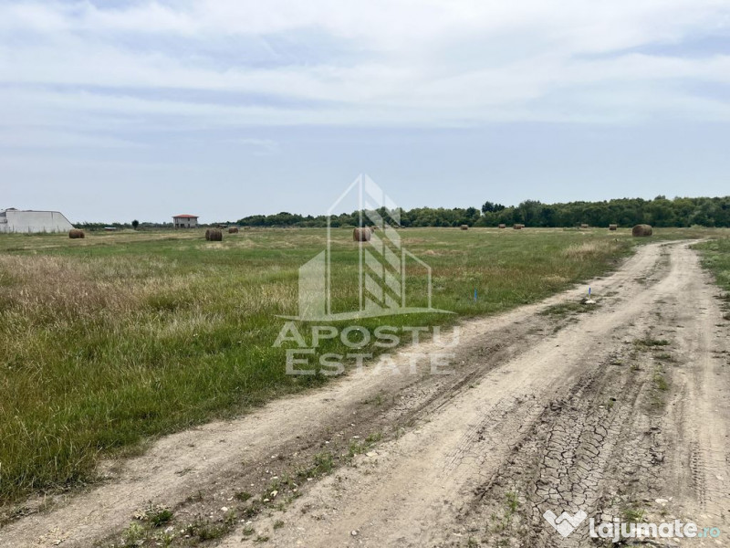 Teren intravilan pentru hala 1518 Remetea Mare in apropie...
