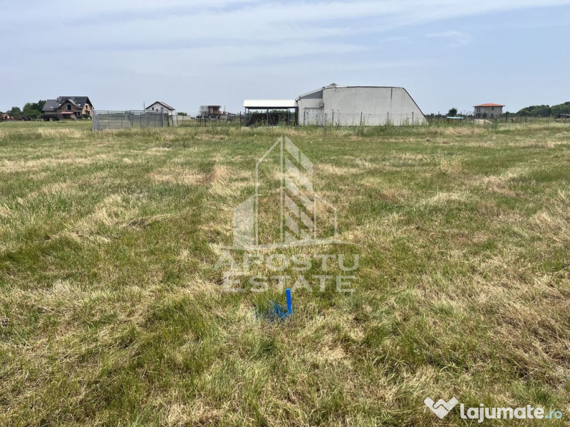 Teren intravilan pentru hala 1518 Remetea Mare in apropie...