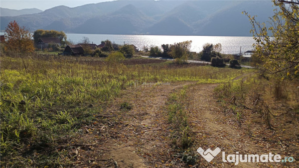 Teren Intravilan langa Dunare! Disponibil la 15 Euro/mp 