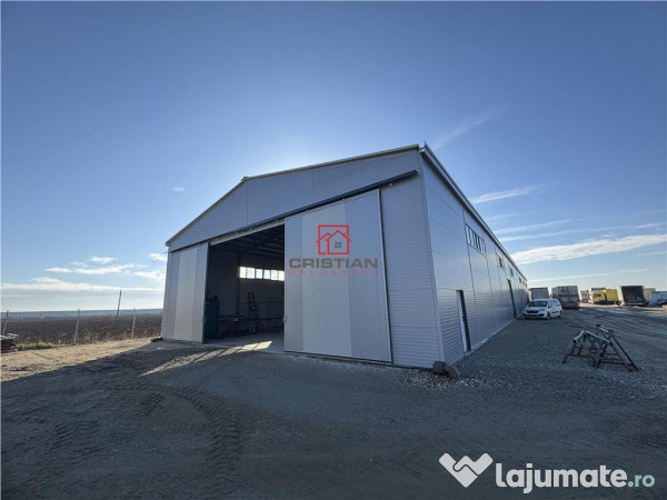 Depozit/hala/spatiu industrial Bolintin Deal - A1 - KM23 