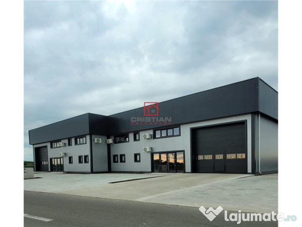 Depozit/hala/spatiu industrial Domnesti - Centura, Ilfov 