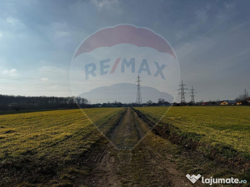 Teren 4,000mp Balotesti / Strada Rozelor 