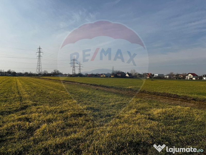 Teren 4,000mp Balotesti / Strada Rozelor 