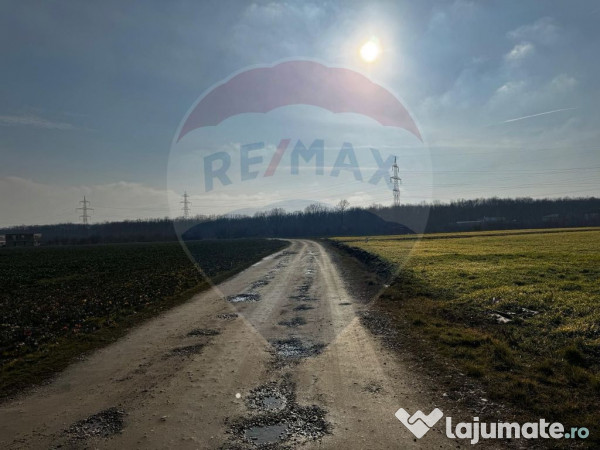 Teren 4,000mp Balotesti / Strada Rozelor 
