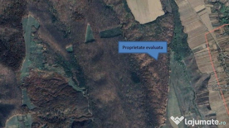 Teren padure, cota de 1/48 Horgesti, ID: R2325871 