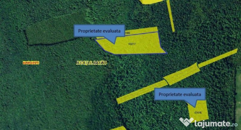 Teren padure, cota de 1/48 Horgesti, ID: R2325871 